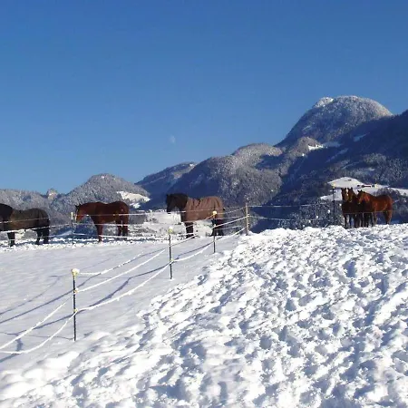 Rosa Semesterbostad Reith im Alpbachtal