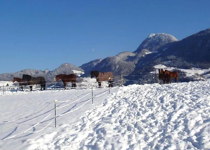 Rosa Prázdninový dům Reith im Alpbachtal